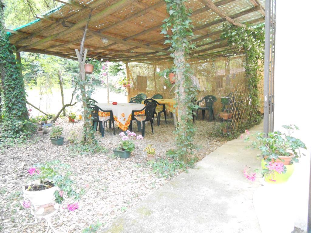 Park View Country House B&B Capannori Exterior foto