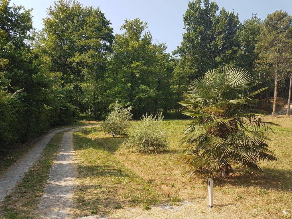 Park View Country House B&B Capannori Exterior foto